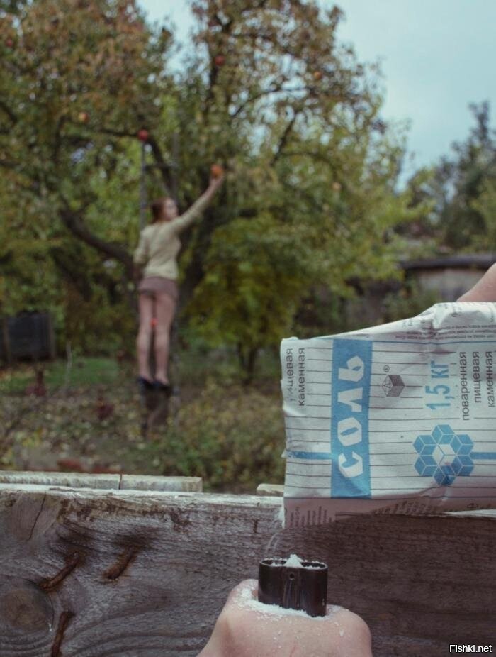 Солянка