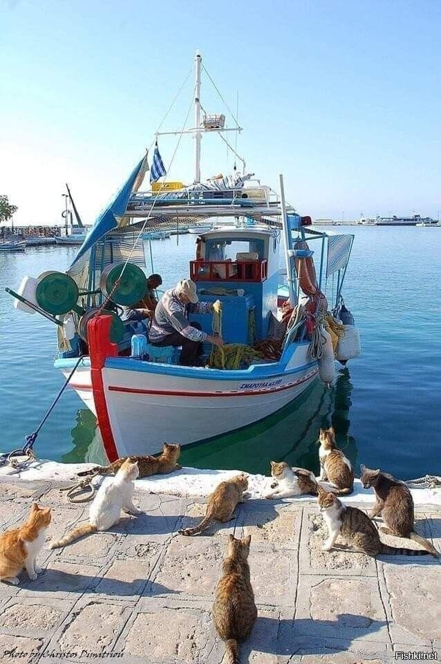 Солянка