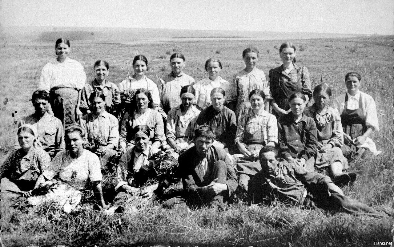 Полеводческая бригада