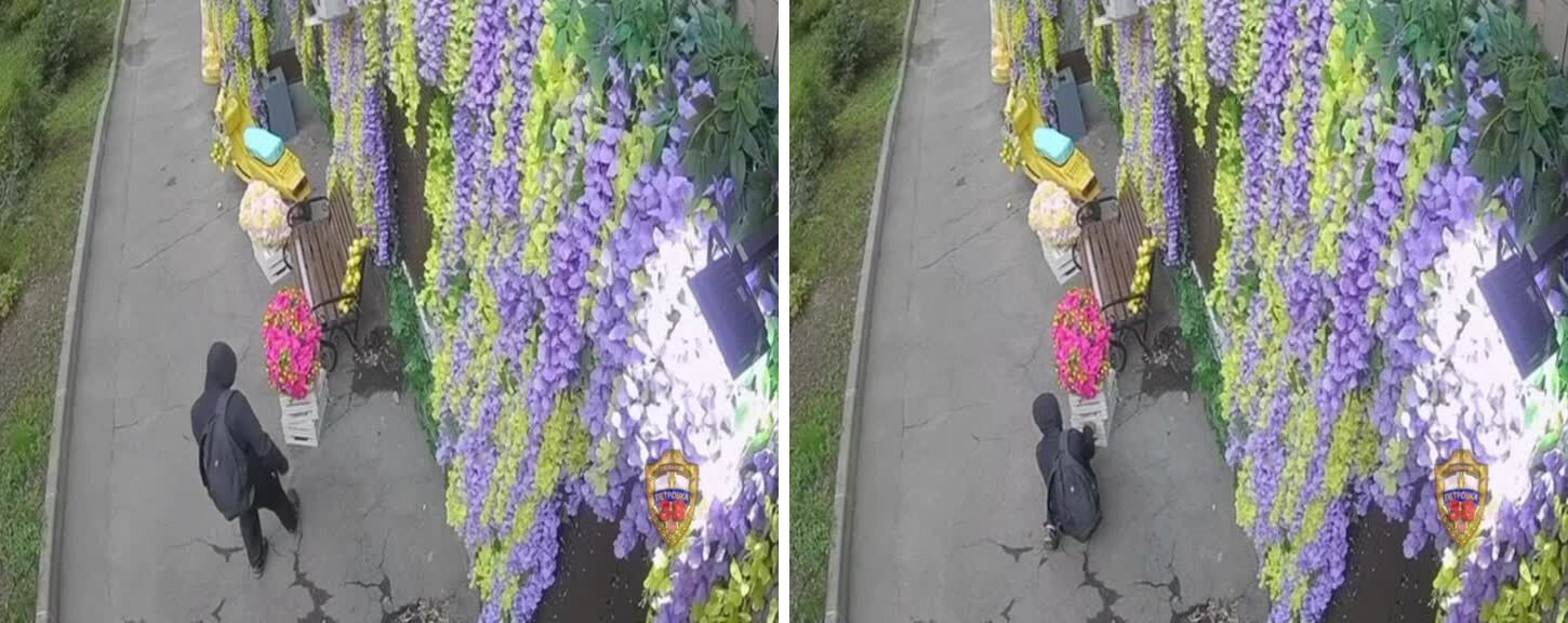 Неизвестный в чёрном капюшоне похитил клумбу с цветами в виде овечки