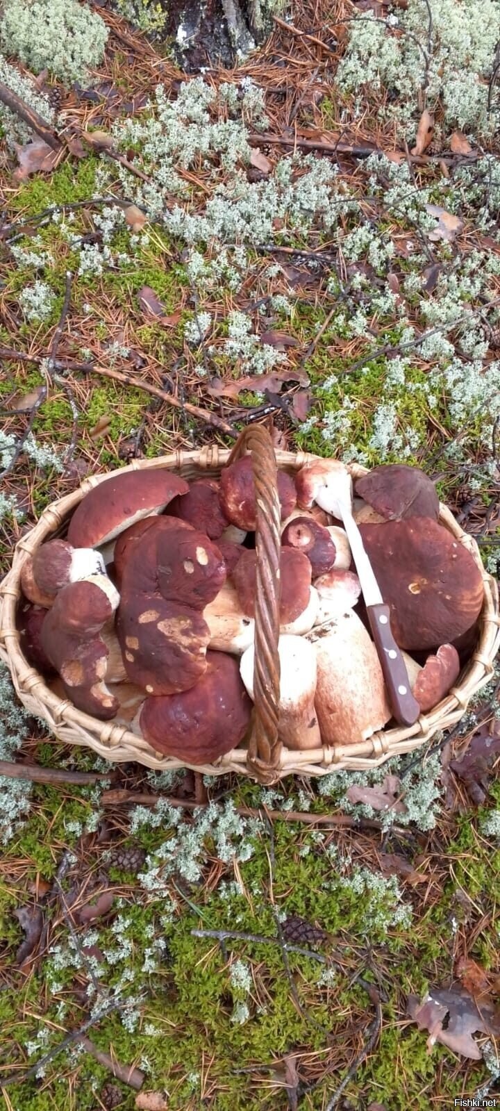 С добрым утром