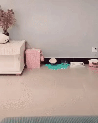 Когда убрали все коробочки