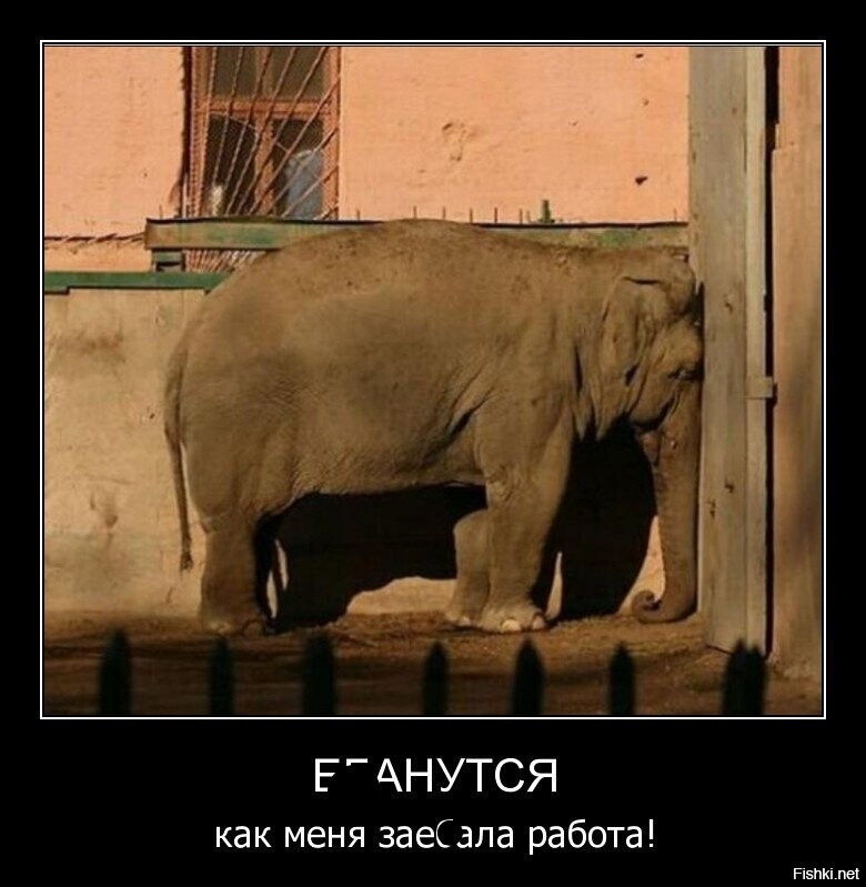 С понедельничком 
