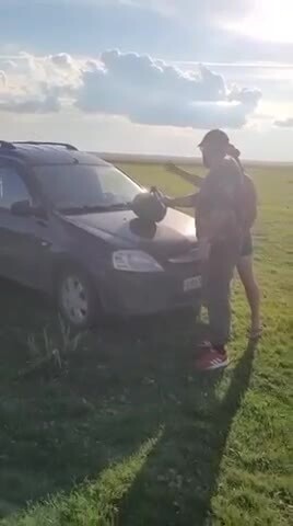 Дебилизм так и прёт)