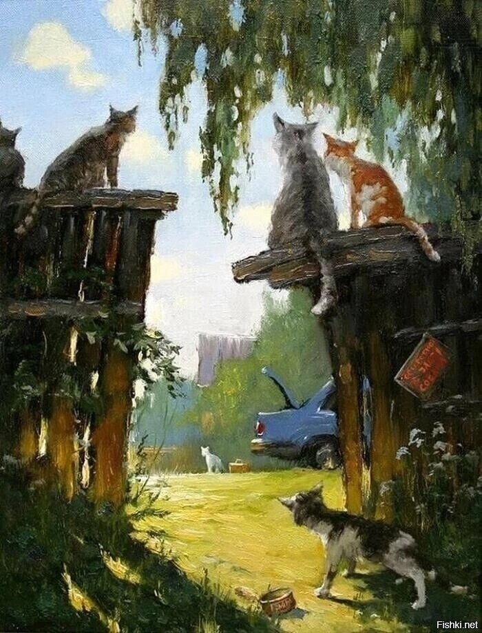 Солянка