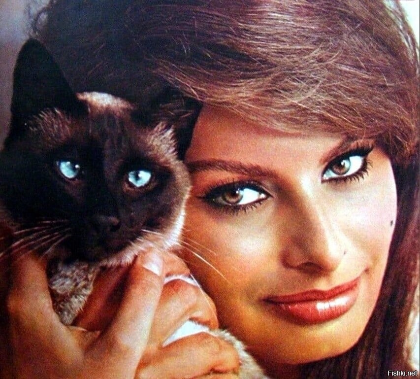 • Софи Лорен • Sophia Loren •