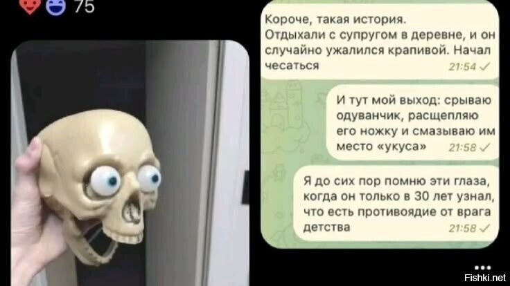 Солянка