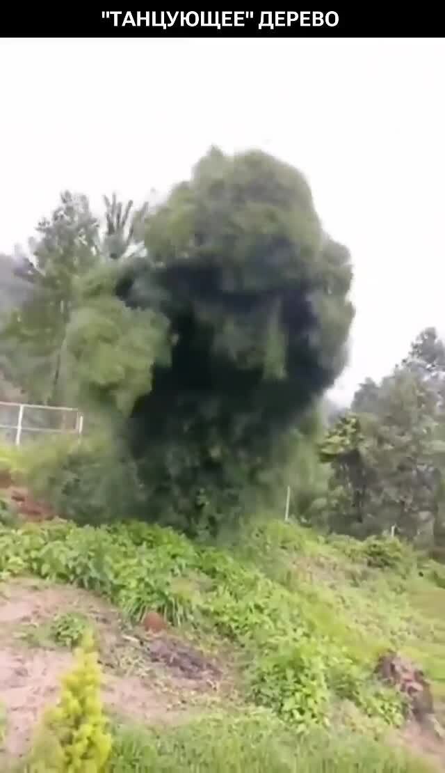 Вечером жутковато будет