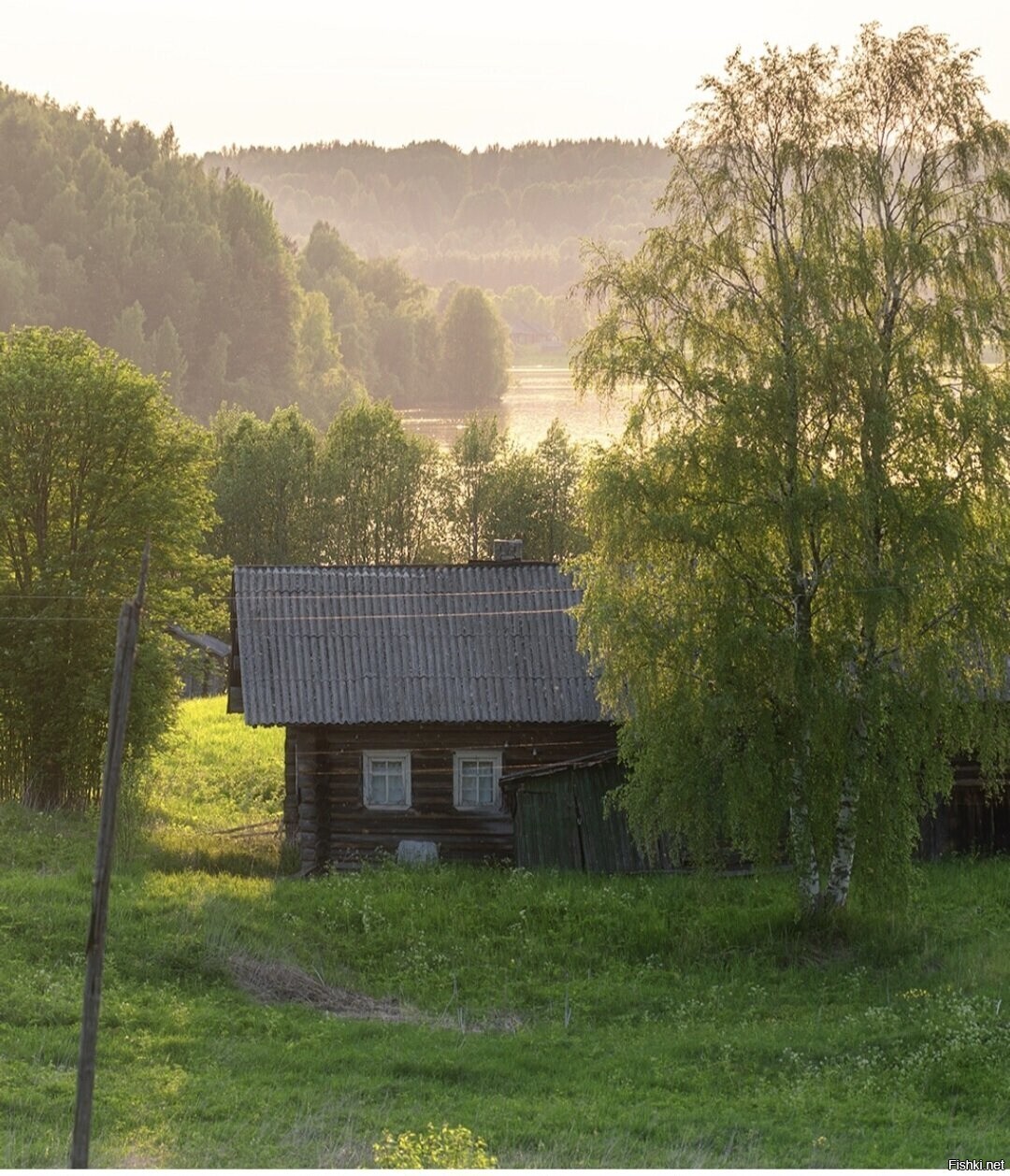 Солянка