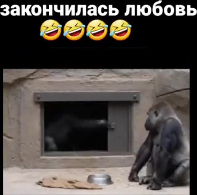 Шо , выгнали