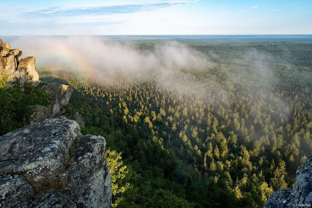 Солянка