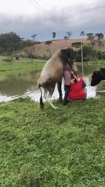 Любовь зла