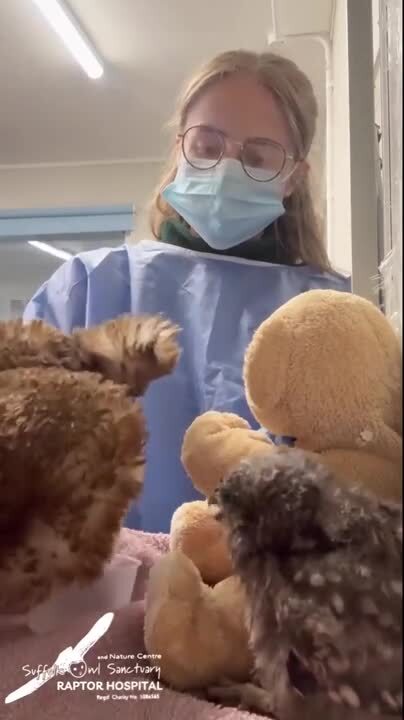 Обед