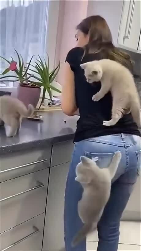 Солянка