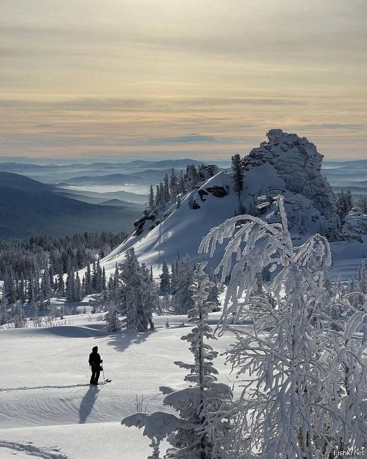 Солянка