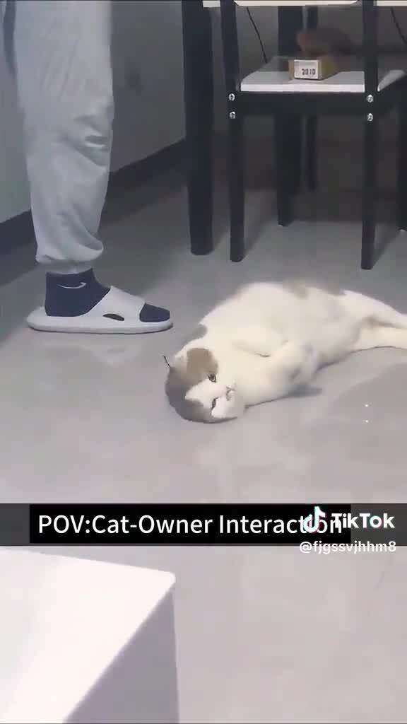 Безобразничают
