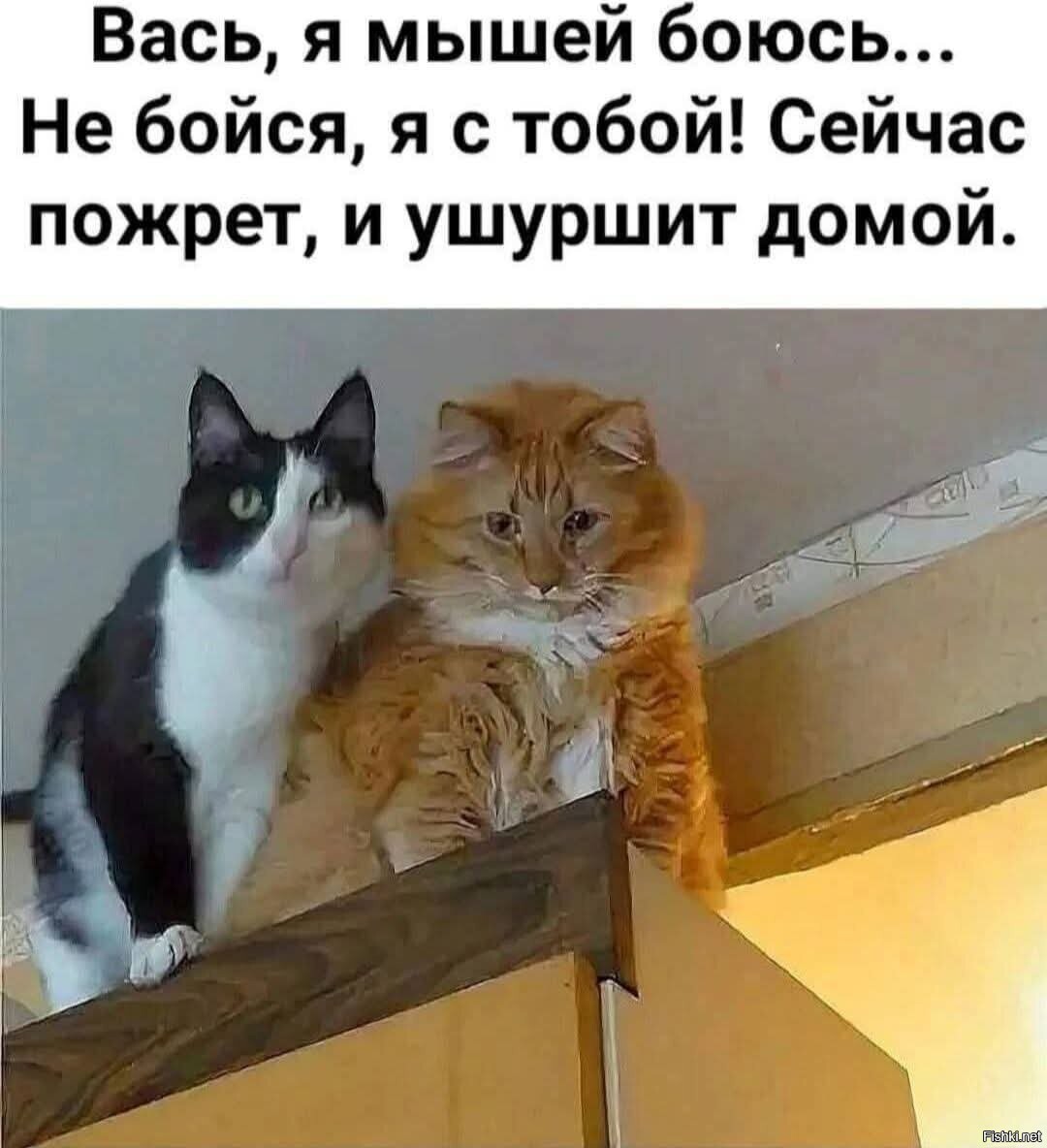 ?