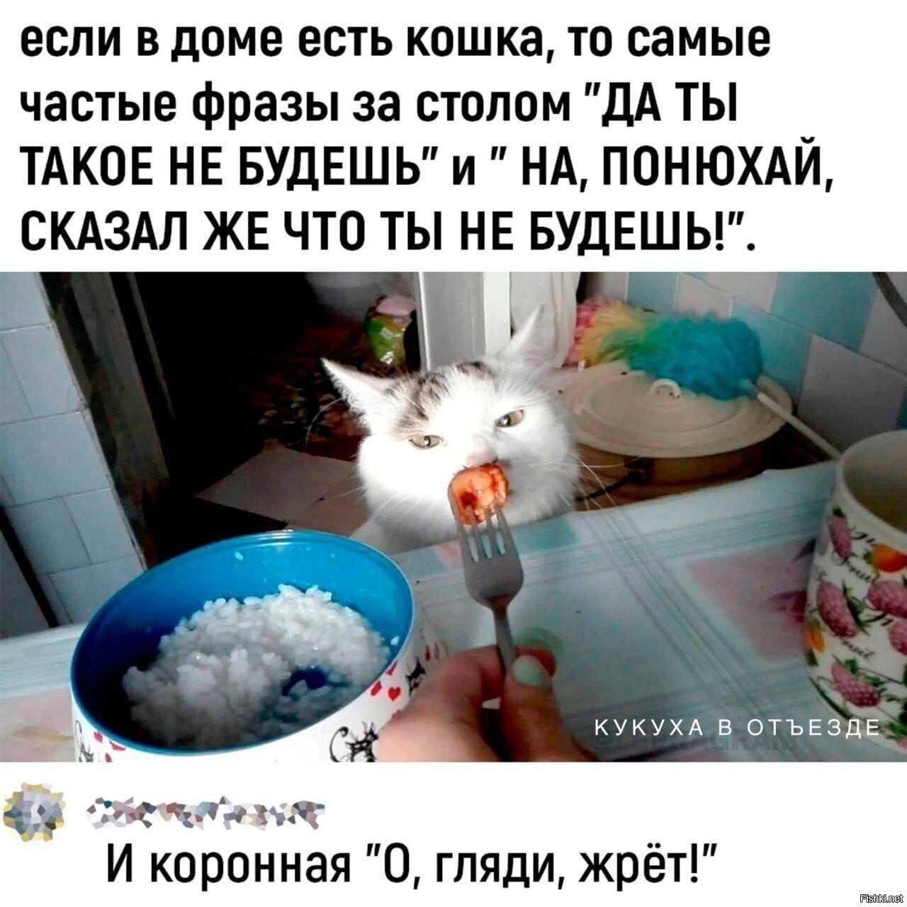 С собакой та же фигня