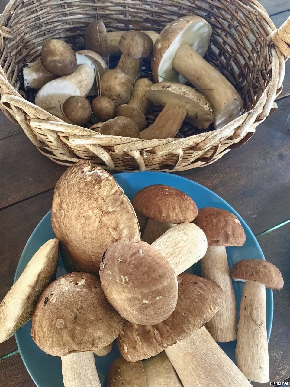 Солянка