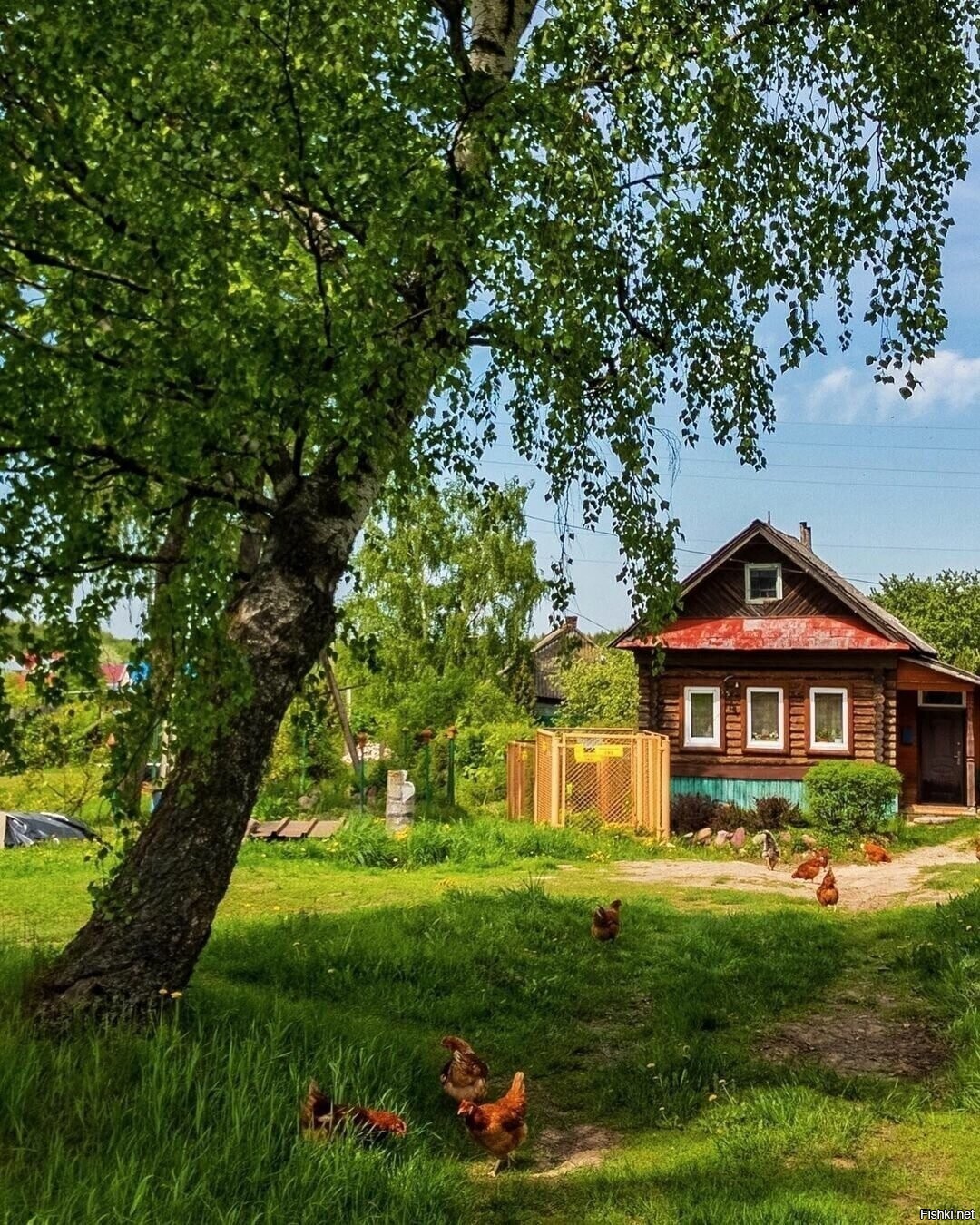 Солянка