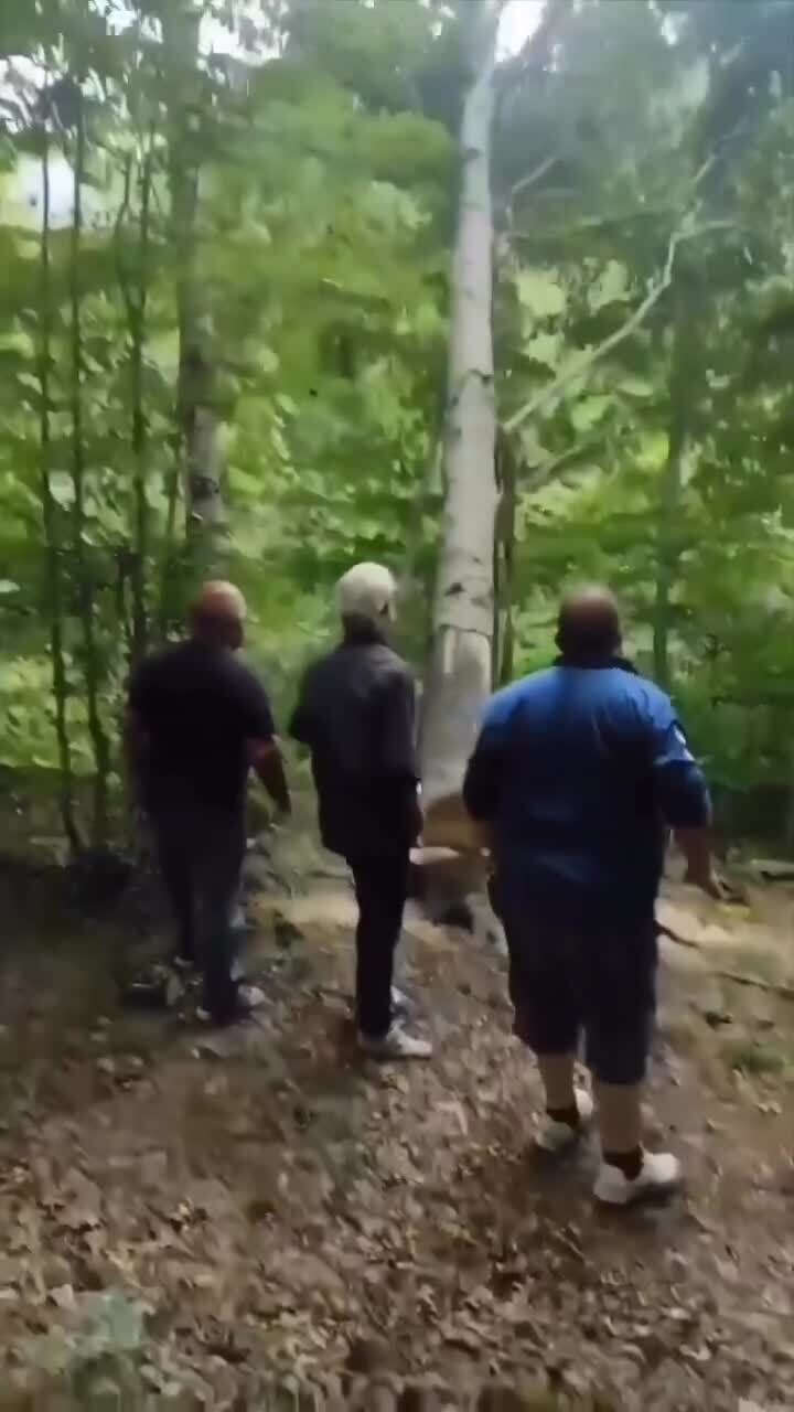 Интересно, что же могло пойти не так