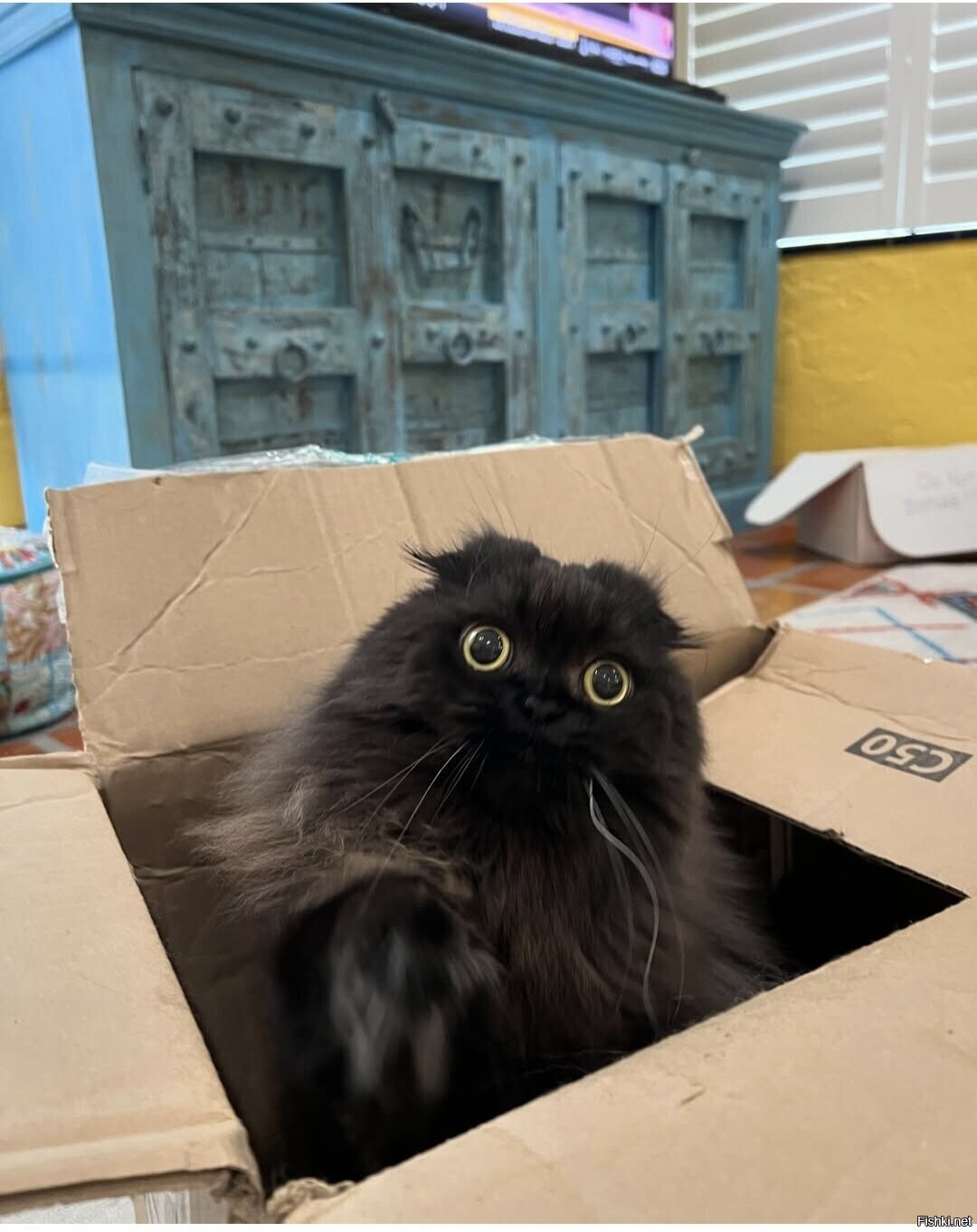 Солянка