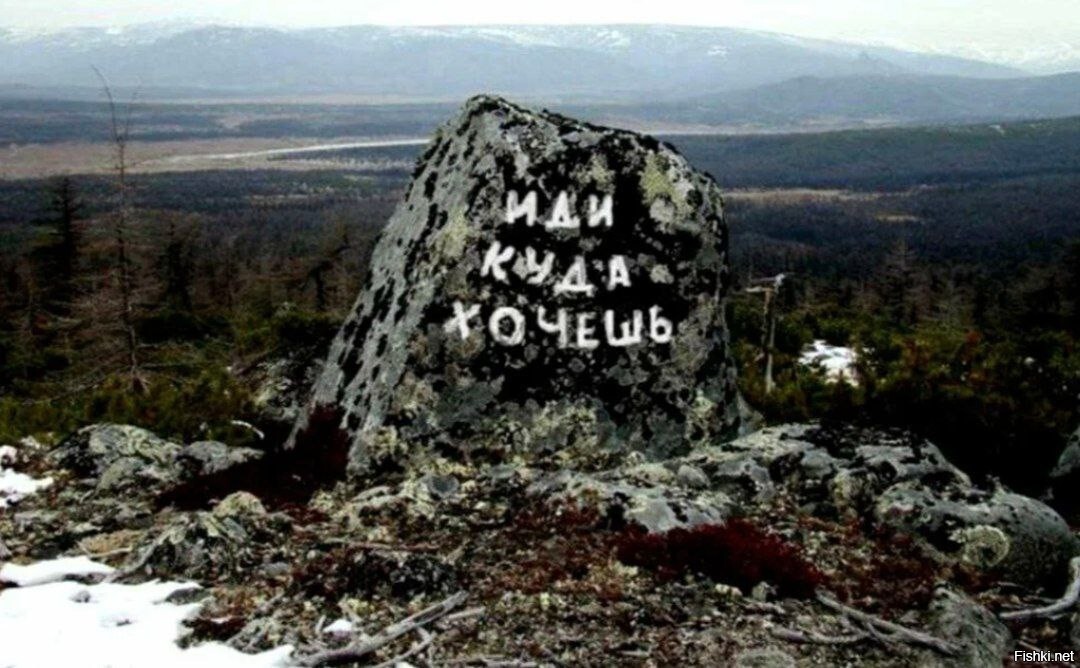 Солянка