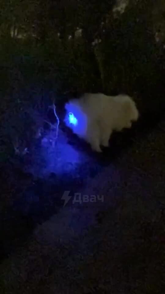 Выходные должны проходить ярко