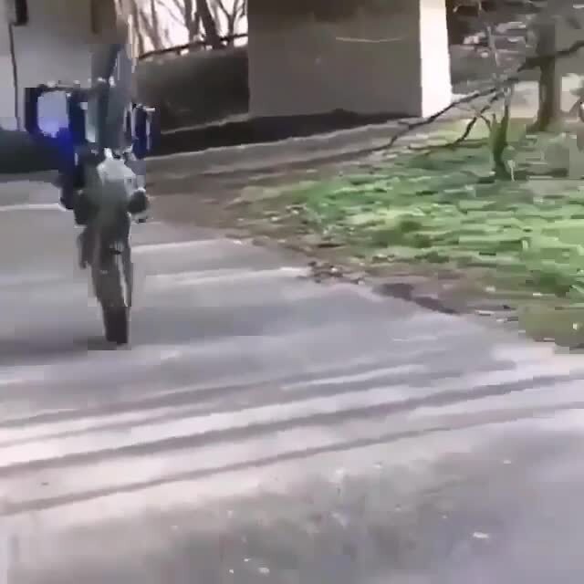 Поцелуй мотохрустов