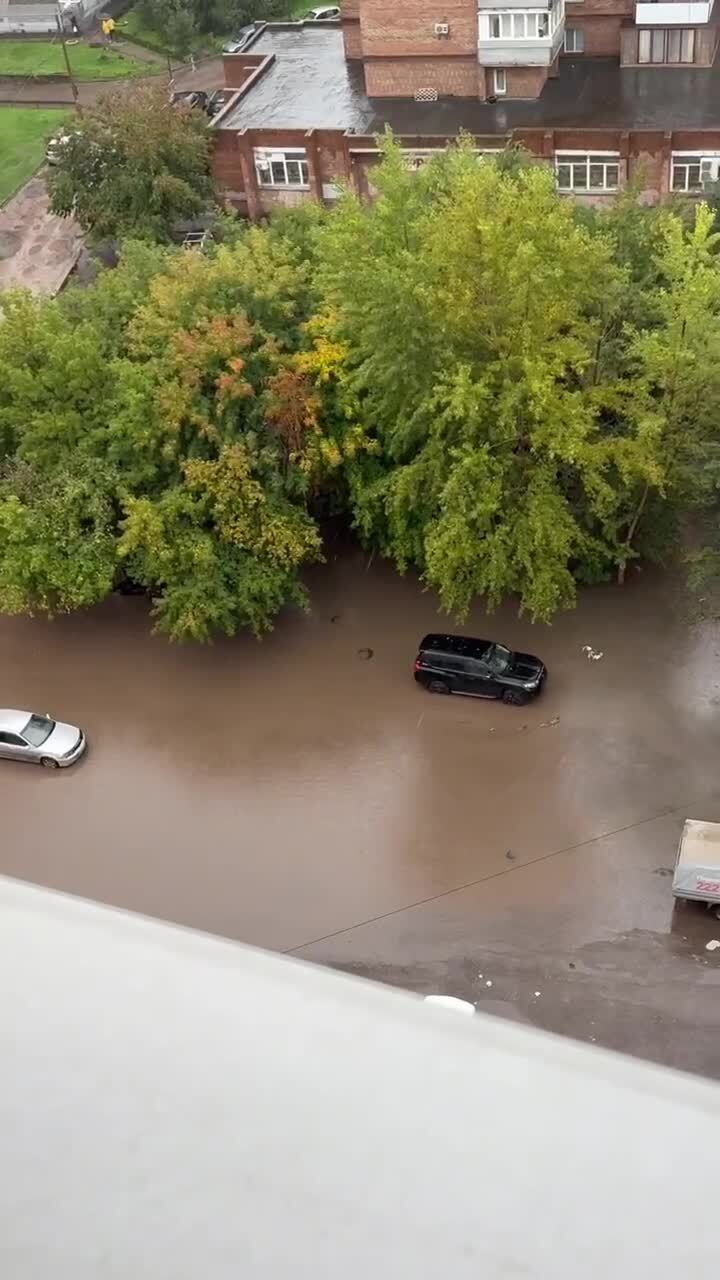 Семейка уточек в микрорайоне "Белые росы" Красноярска
