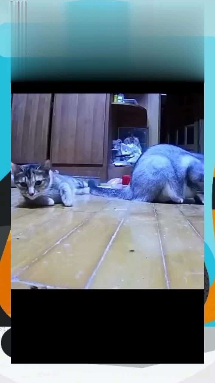Шороху навёл)