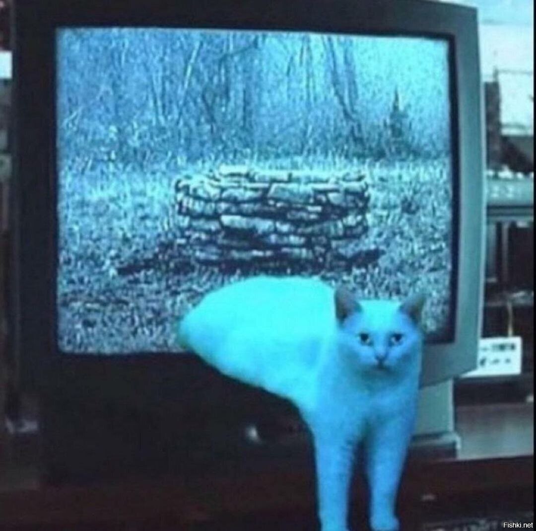 Солянка