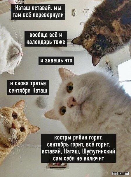 Чё там по календарю, перевернули все уже