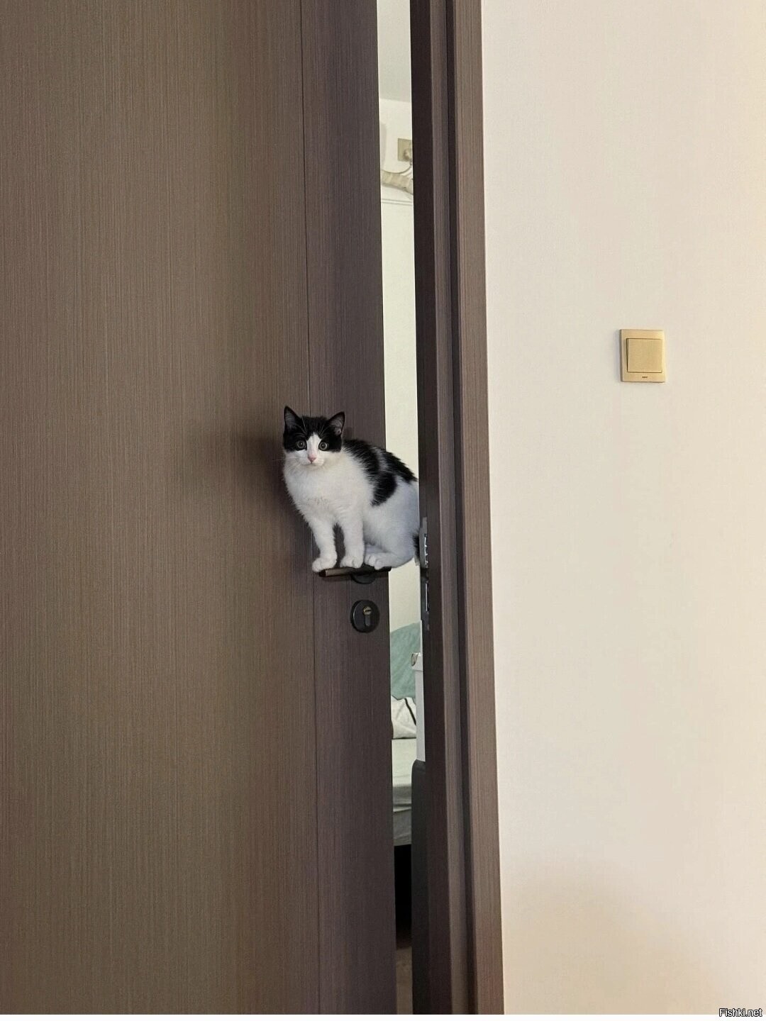 Доброе утро