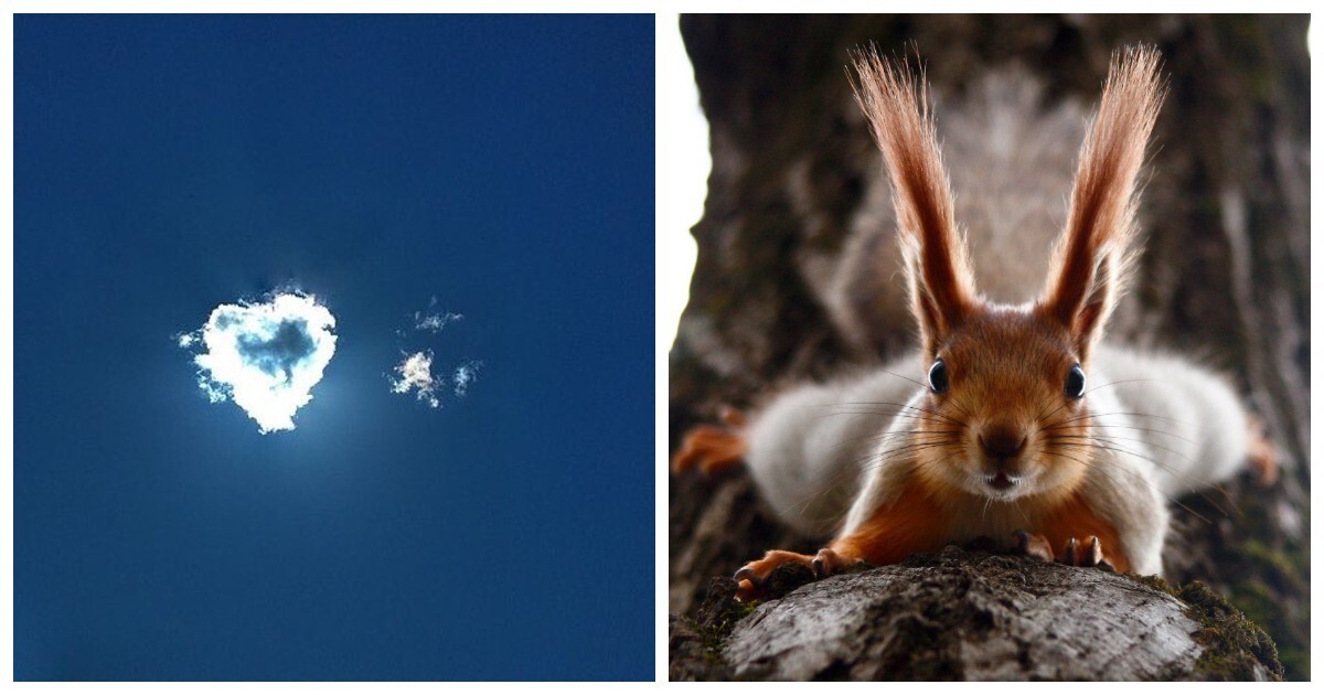 20 фотографий, которые заменят тысячи слов
