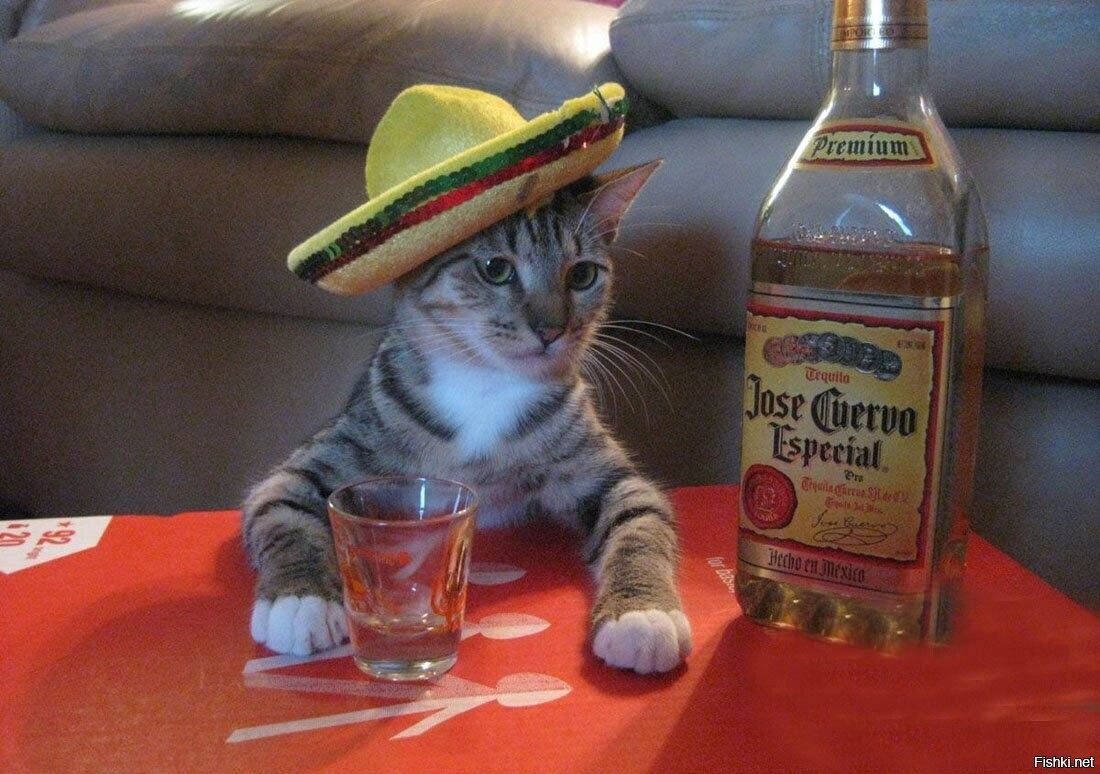 Котэ де Хуэтро Самбреро 