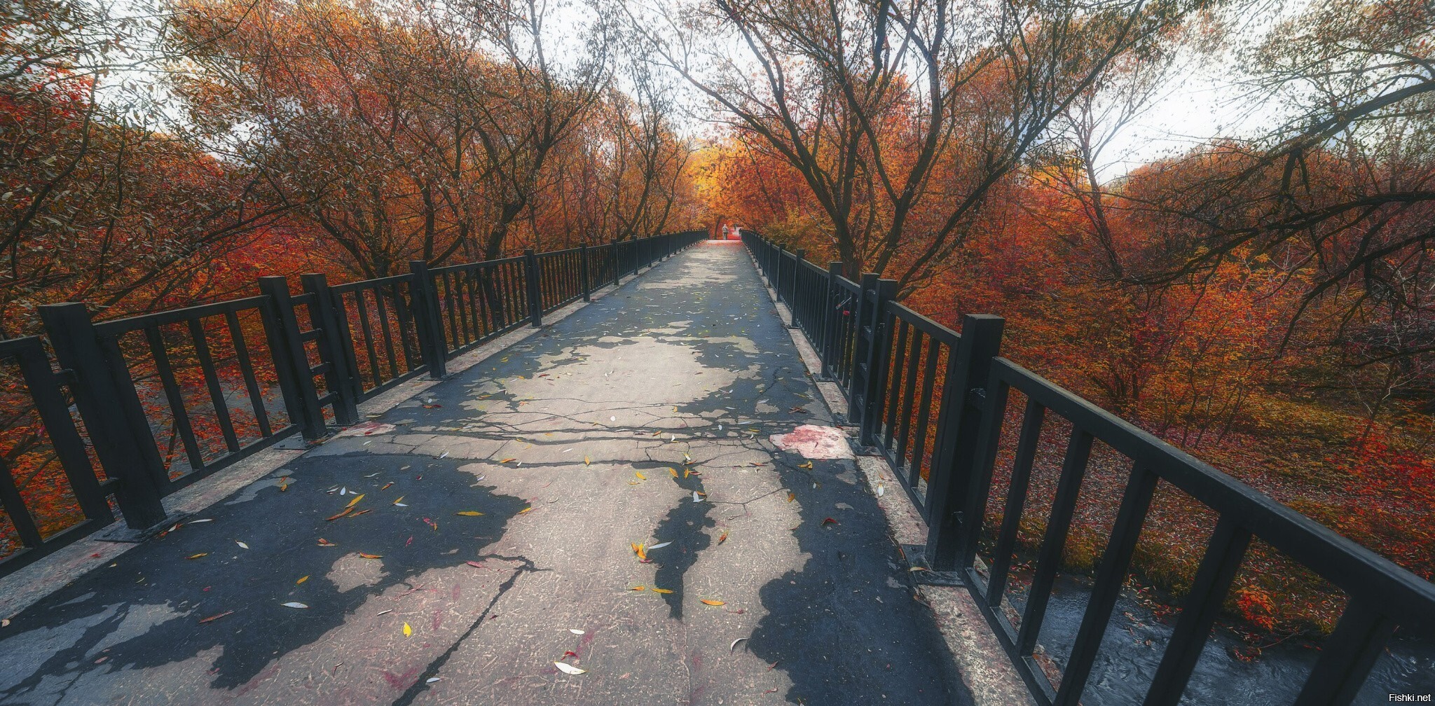 Мост
