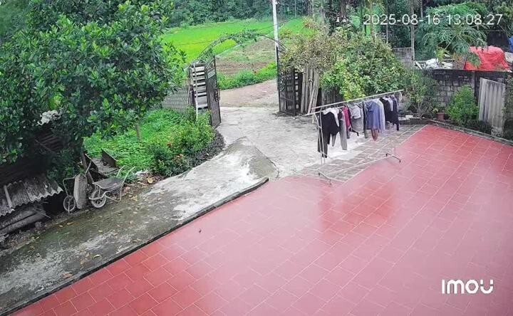 Лучше в поле пропадём, 
