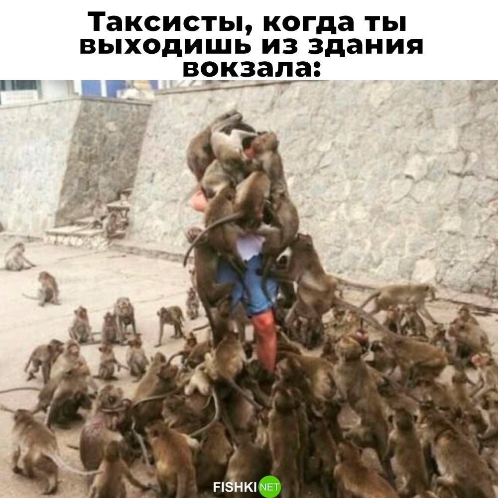 Не ищите здесь смысл. Здесь в основном маразм