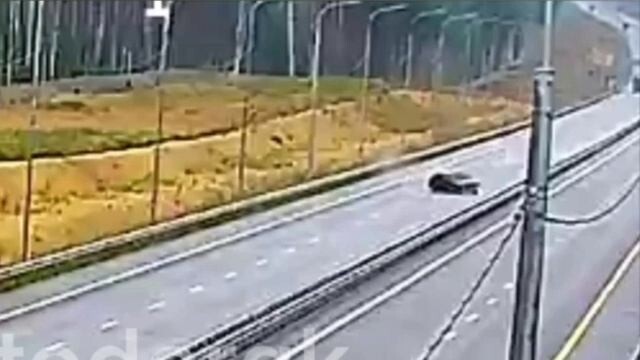 Уснул на трассе ДТП