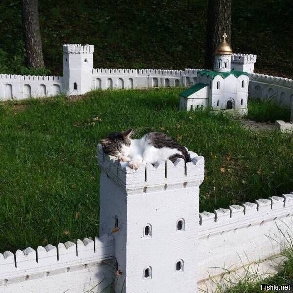Солянка