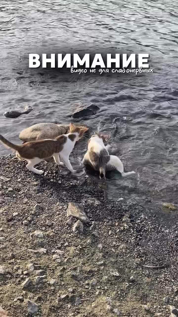 Охотник