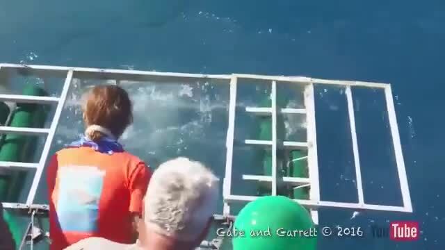 Тяжела и неказиста 