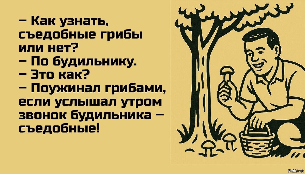 В выходные кто-то идёт по грибы