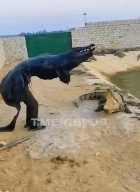 Почему же мужики живут меньше, ума не приложу