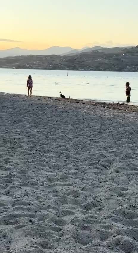 Аж легче на душе стало