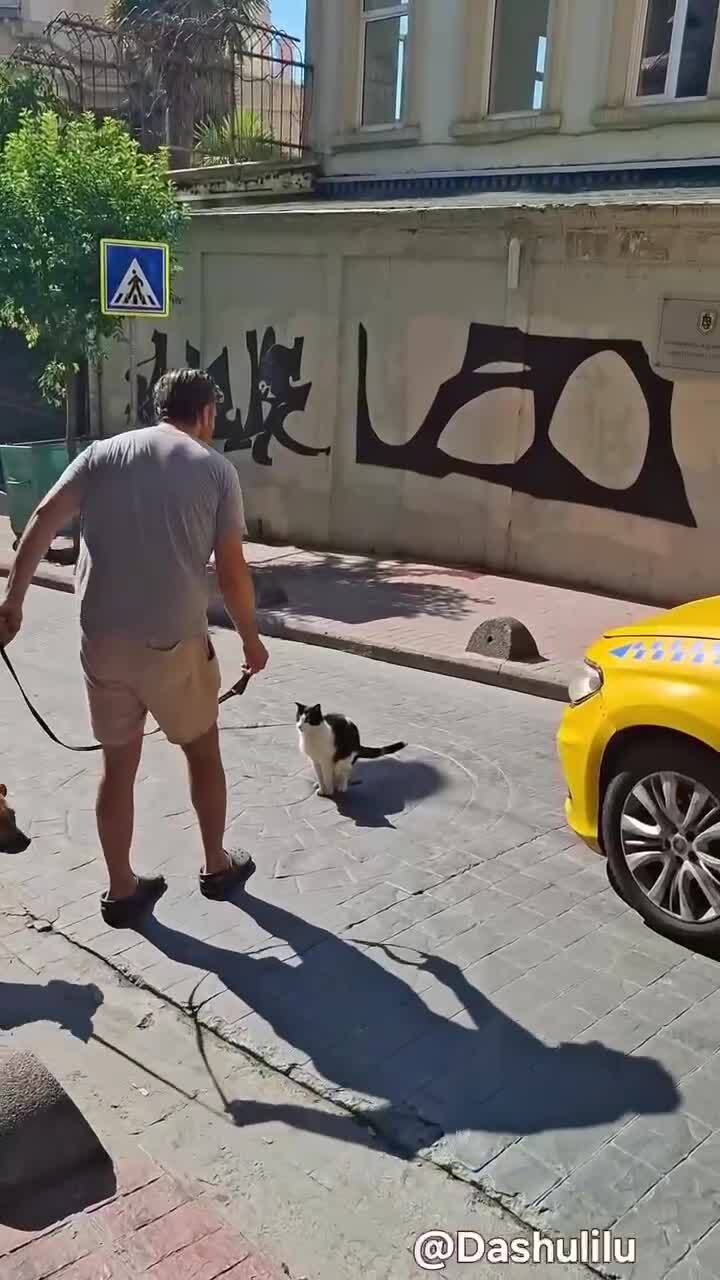 И пусть весь мир подождёт