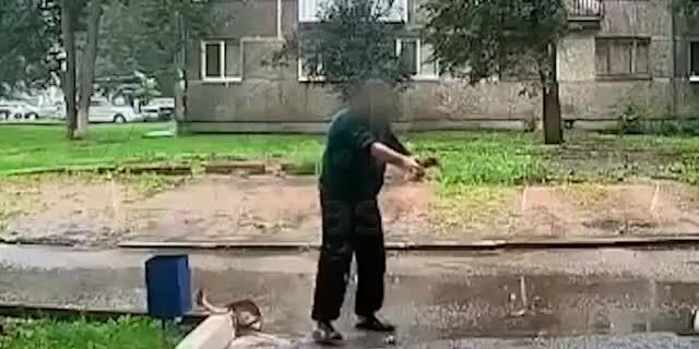 Солянка