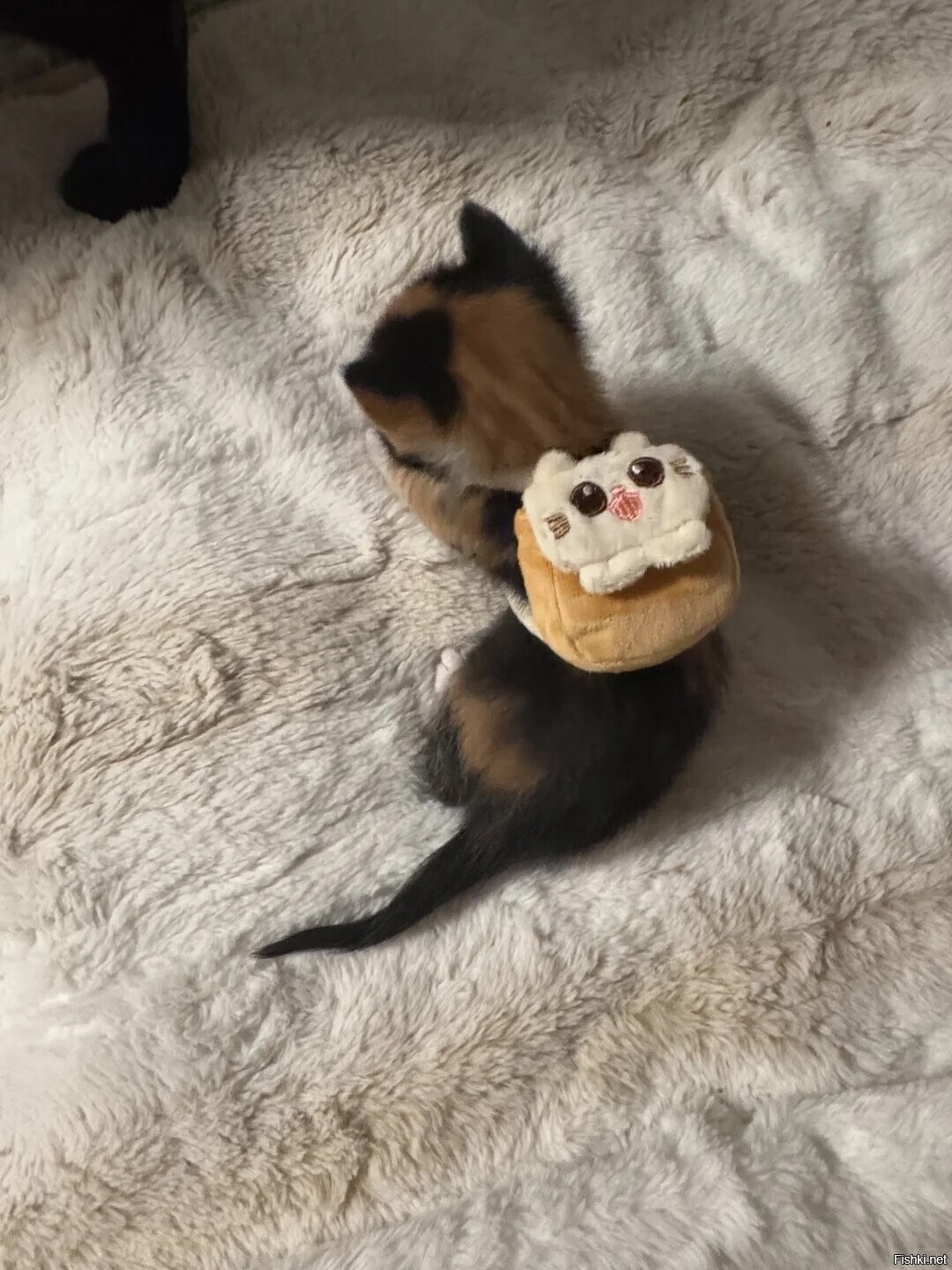 Солянка