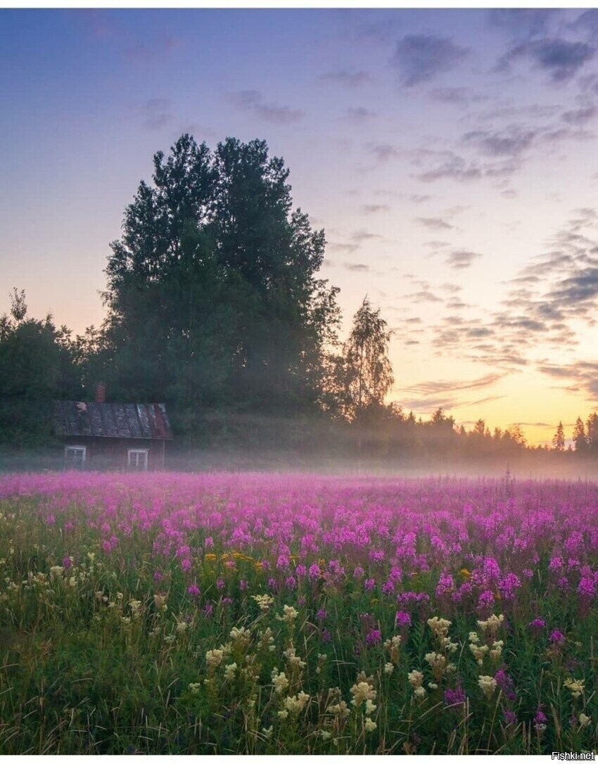 Солянка